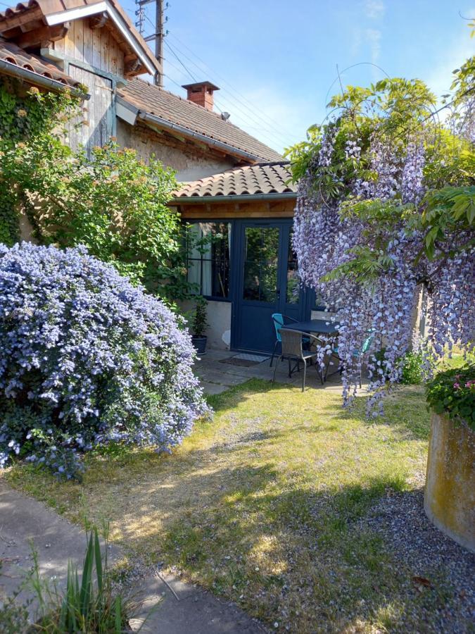 La Maison Molieres Montauban Exterior foto